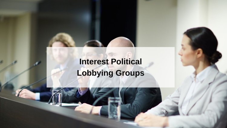 The Role of Interest Political Lobbying Groups