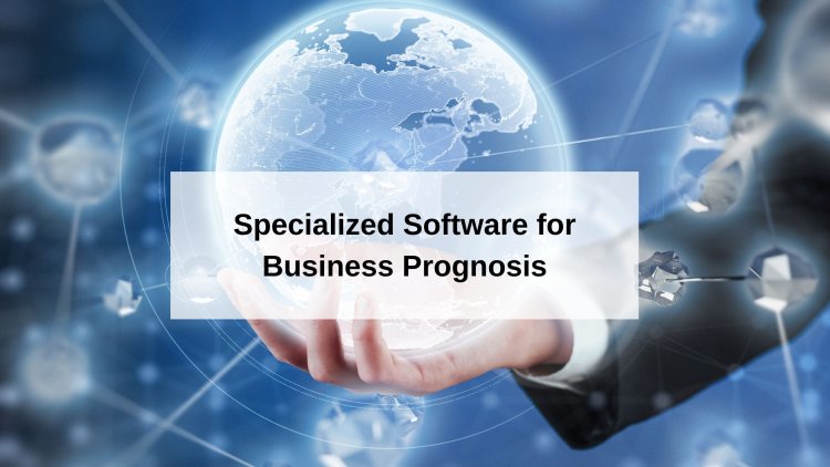 The Use of Specialized Software for Business Prognosis
