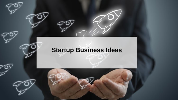 Role of Leadership for the Success of Startup Business Ideas