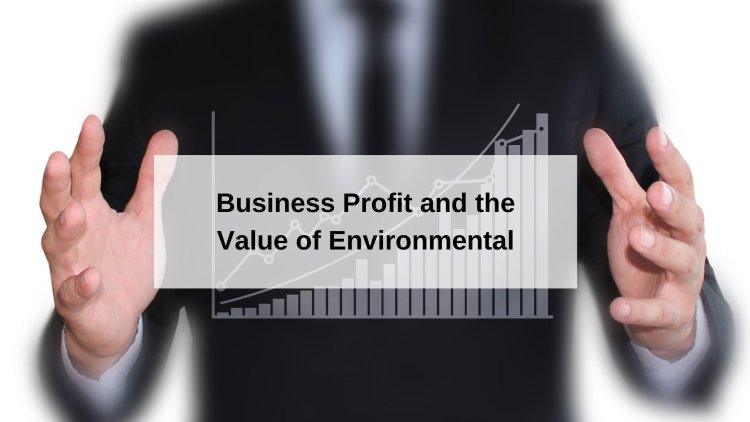 Business Profit and the Value of Environmental Safety Practices