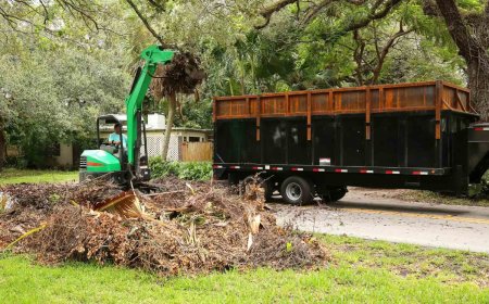 Eco Garden Cleanup for Sydney Homes