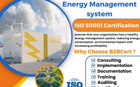 Pioneering Energy Efficiency: New York Organizations Leading with ISO 50001