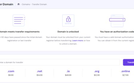 The Secret to Affordable Domain Transfers: Hostinger Coupons