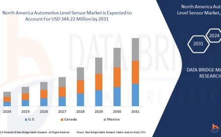 North America Automotive Level Sensor Market Research Report: Growth, Share, Value, Size, and Insights