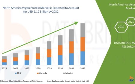 North America Vegan Protein Market Leaders: Growth, Share, Value, Analysis, and Trends