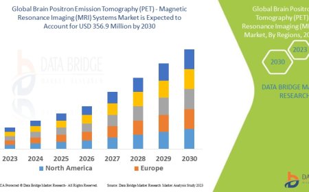 Brain Positron Emission Tomography (PET) - Magnetic Resonance Imaging (MRI) Systems Market Outlook: Growth, Share, Value, Size, and Insights