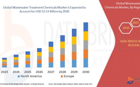 Wastewater Treatment Chemicals Market Research Report: Growth, Share, Value, Size, and Insights