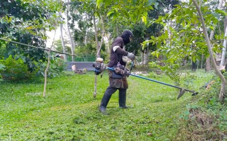 Lawn Mowing Forest Park GA Your Local Experts in Lawncare and Landscaping