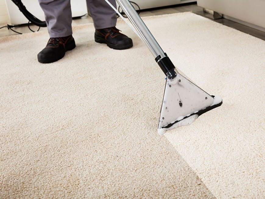 Why Is Regular Carpet Cleaning Essential for a Healthy Home?