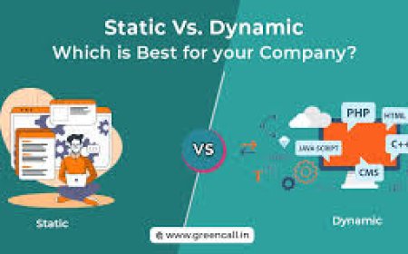 Static Vs. Dynamic Site: Which One Your Business Needs?