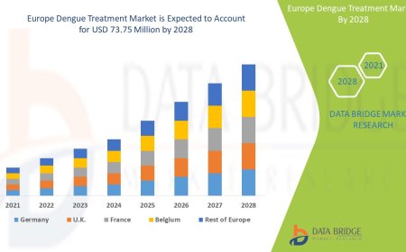 Europe Dengue Treatment Market Outlook: Growth, Share, Value, Size, and Insights