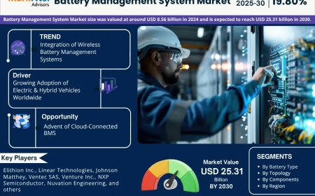 Battery Management System Size, Insights, Growth Rate, Trends Analysis And Forecast To 2030
