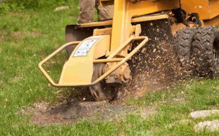 Stump Grinding – Say Goodbye to Unsightly Tree Stumps