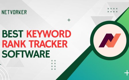 Best Keyword Rank Tracker Software