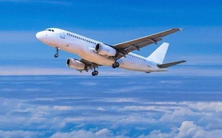 Does Turkish Airlines Have a Lounge in JFK