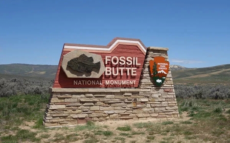 Choosing the Right Sign Company in NJ: Your Guide to Finding the Best Sign Shop Near You