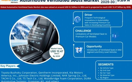 Automotive Ventilated Seats Industry Report 2025–2030: Growth, Trends & Key Players