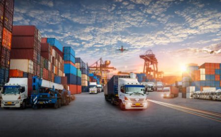 The Development of Customer Experience through Logistics BPO Services: A Competitive Edge
