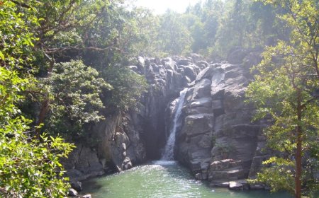 Experience Nature and Peace with a Daringbadi Tour Package