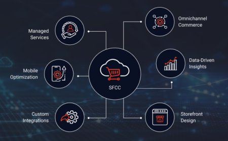 Shopify Consulting Partners for Ecommerce Growth