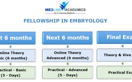 Why Pursuing a Fellowship in Embryology Could Be a Game - Changer for Your Career
