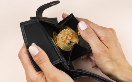 Finding the Best Crypto Cold Wallet in 2025: A Smart Investor’s Guide