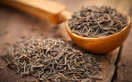 Why Indian Cumin Seeds Dominate Global Spice Markets in 2025