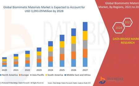 Biomimetic Materials Market: Size, Share, and Future Growth