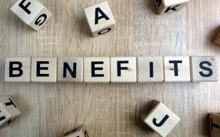 Understanding Employee Insurance Benefits for Young Professionals