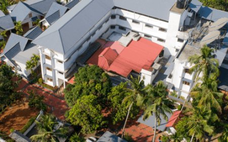 Walk Free Again: Ayurvedic Treatment for Knee Pain and Top Ayurveda Hospitals in Kochi