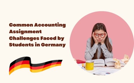 Common Accounting Assignment Challenges Faced by Students in Germany