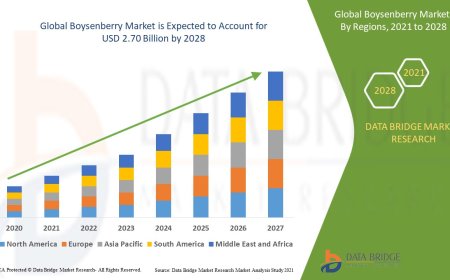 Boysenberry Market Overview: Key Drivers and Challenges