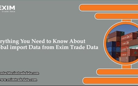 Everything You Need to Know About Global Import Data from Exim Trade Data