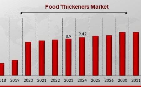 From Sauces to Soups: The Expanding Role of Food Thickeners in Modern Cuisine