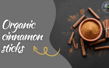 The Aroma of Tradition: Using Organic Cinnamon Sticks in Recipes
