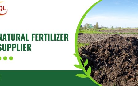 Why Qlfarms Is the Preferred Natural Fertilizer Supplier in Southeast Asia
