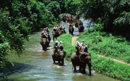 Discover Nature’s Beauty with the Best Simlipal Tour Package