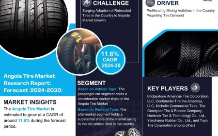 Angola Tire Industry Report 2024–2030: Growth, Trends & Key Players