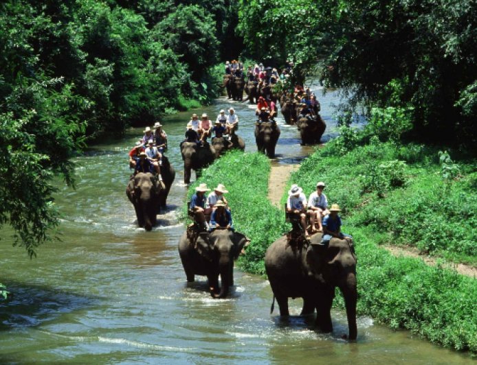 Discover Nature’s Beauty with the Best Simlipal Tour Package