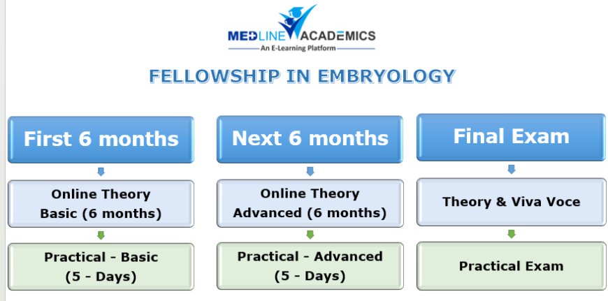 Why Pursuing a Fellowship in Embryology Could Be a Game - Changer for Your Career